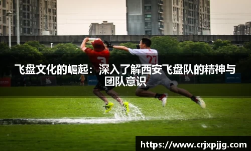 飞盘文化的崛起：深入了解西安飞盘队的精神与团队意识